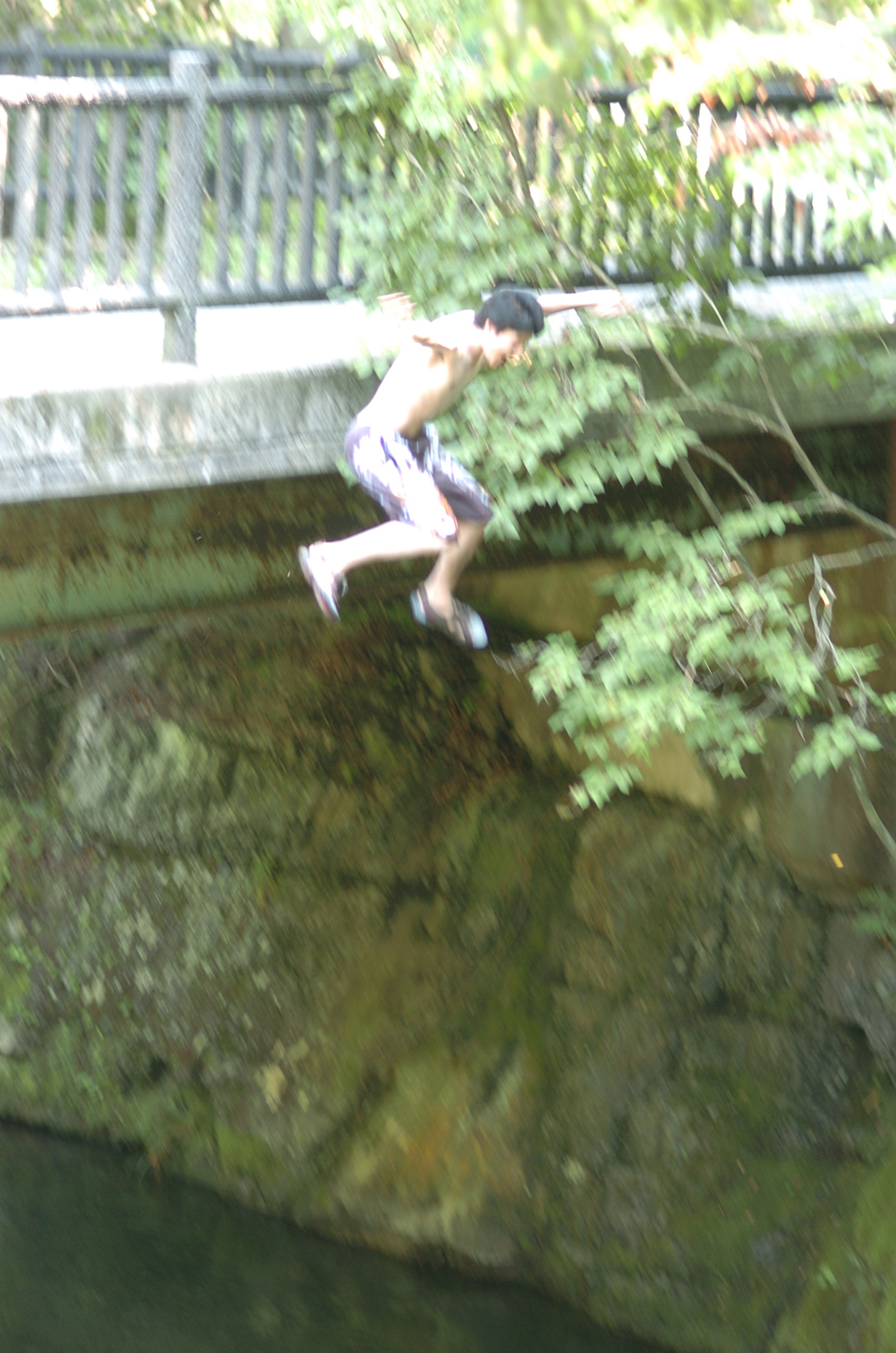 D2H_2852